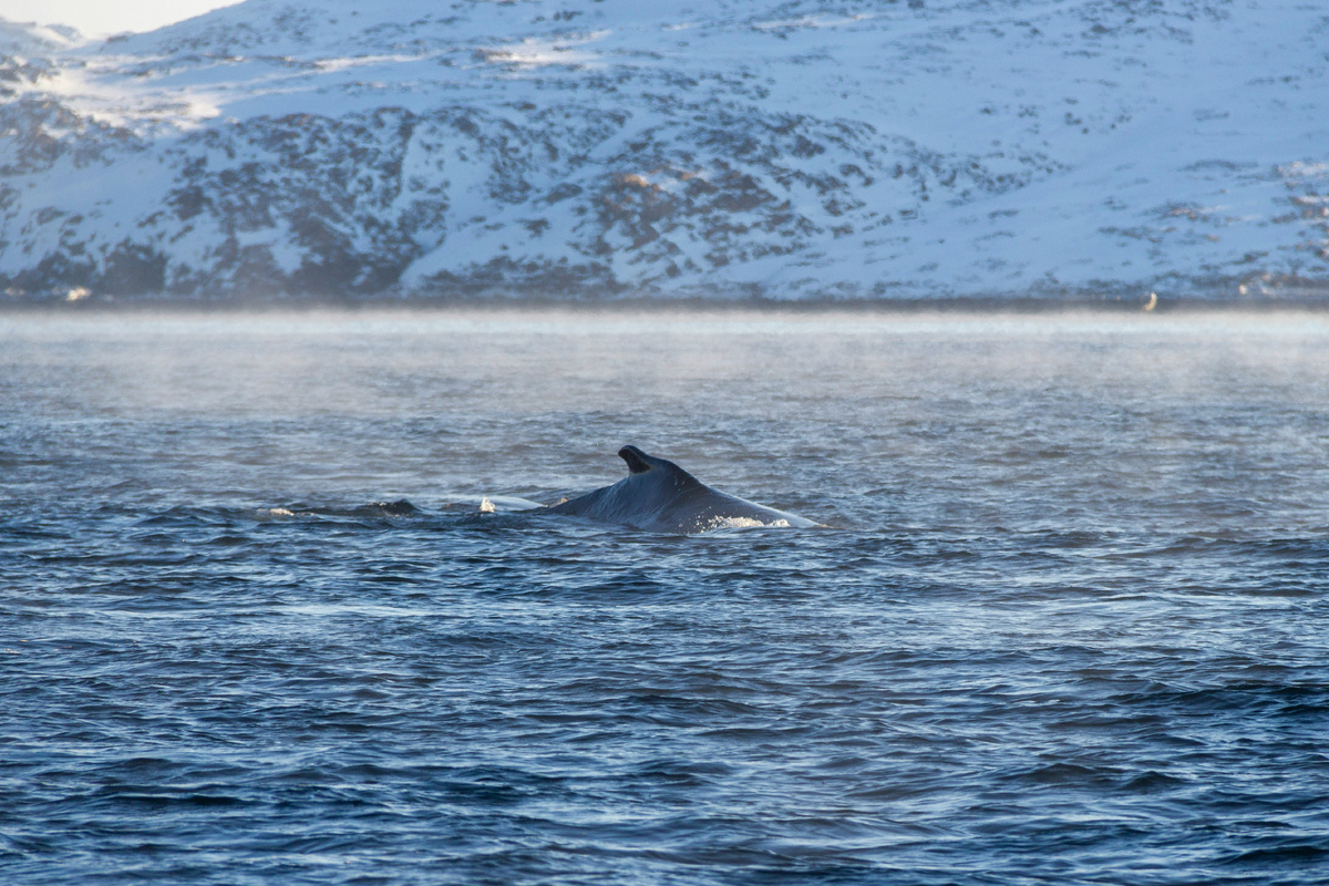 Фото Марии Красновой на Unsplash