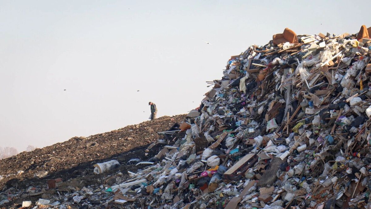    Работающие новосибирские свалки уже почти переполнены   atas.info