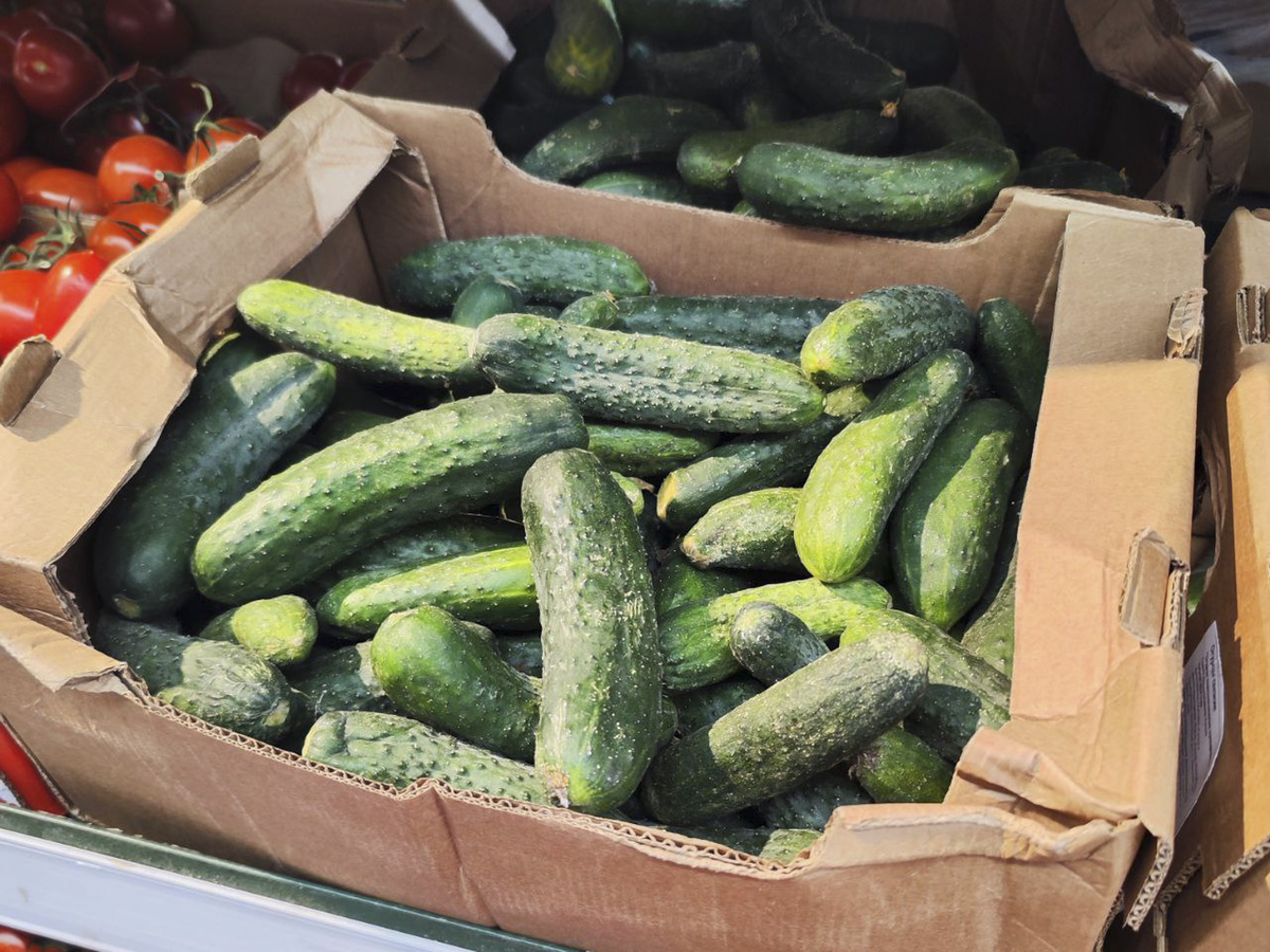 Вся продукция проходит лабораторные проверки перед попаданием на прилавки.  Фото: ФедералПресс / Ксения Кобалия