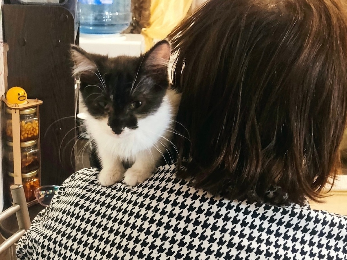 Самая маленькая оказалась самой счастливой