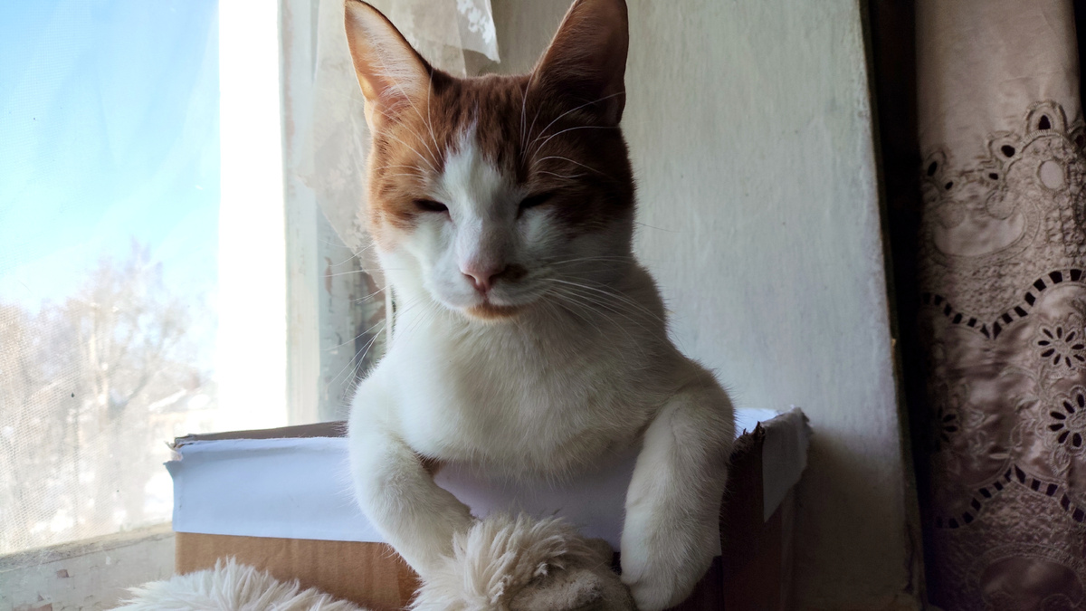 фото автора