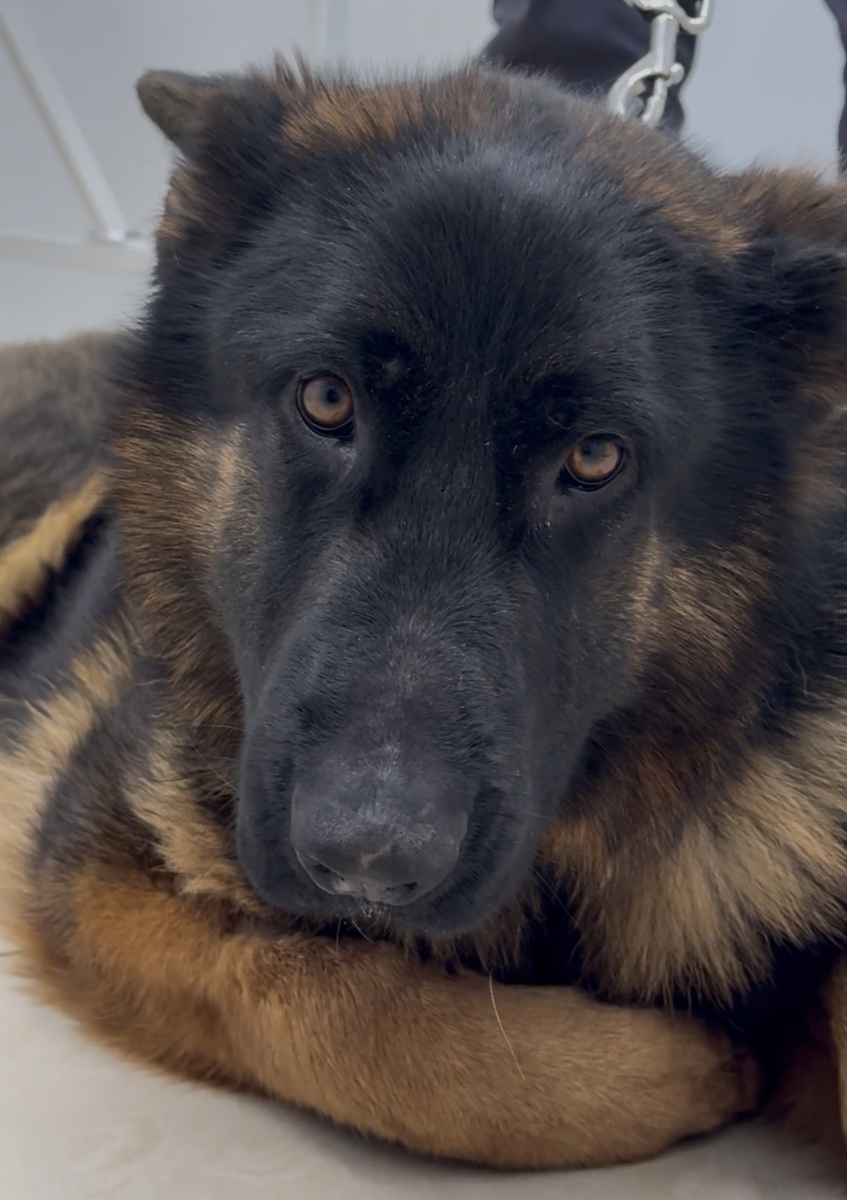 Эльзочка❤️‍🩹