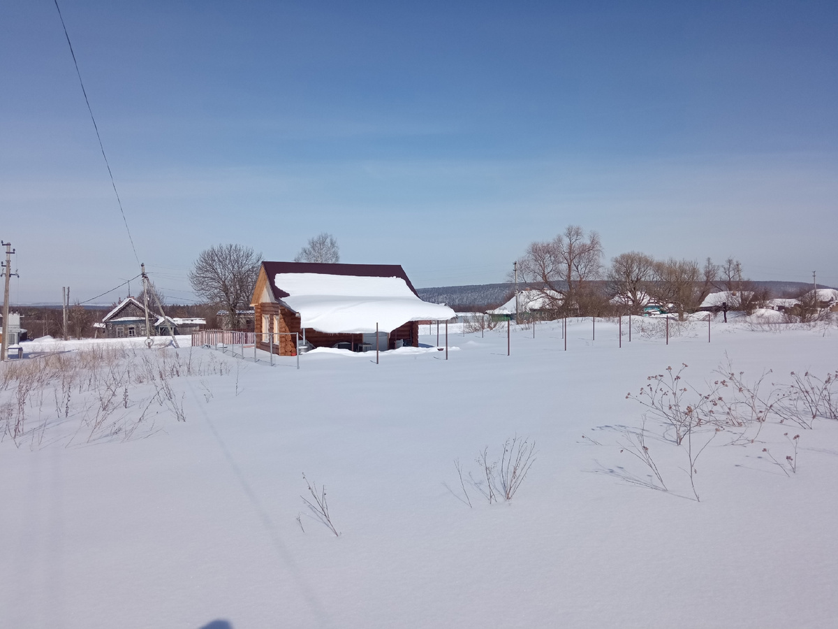 Первые весенние деньки. Фото автора