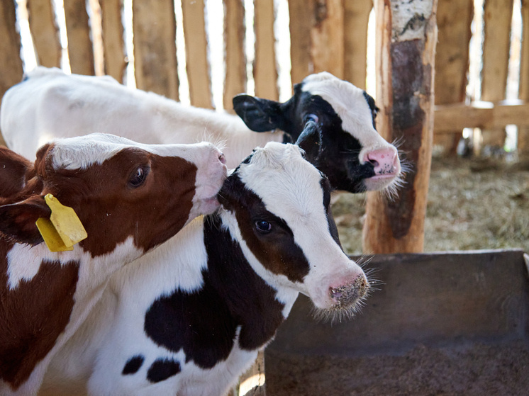     Фото: Сиб.фм