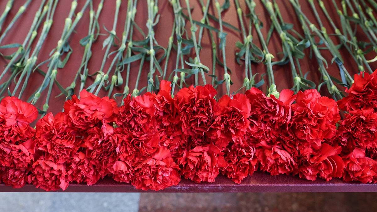    Фото: Пресс-служба Совфеда