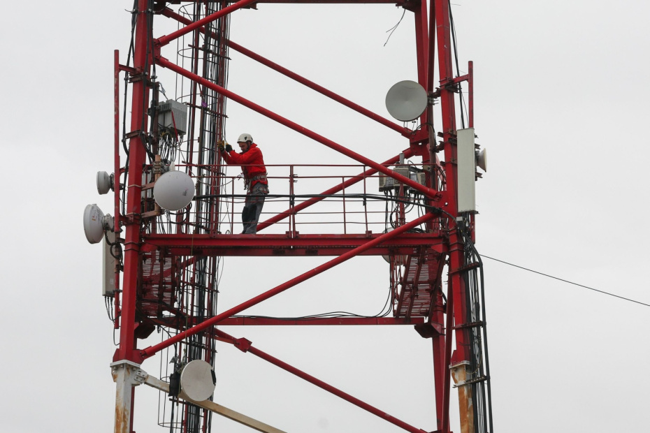    Наталья Шатохина/NEWS.ru