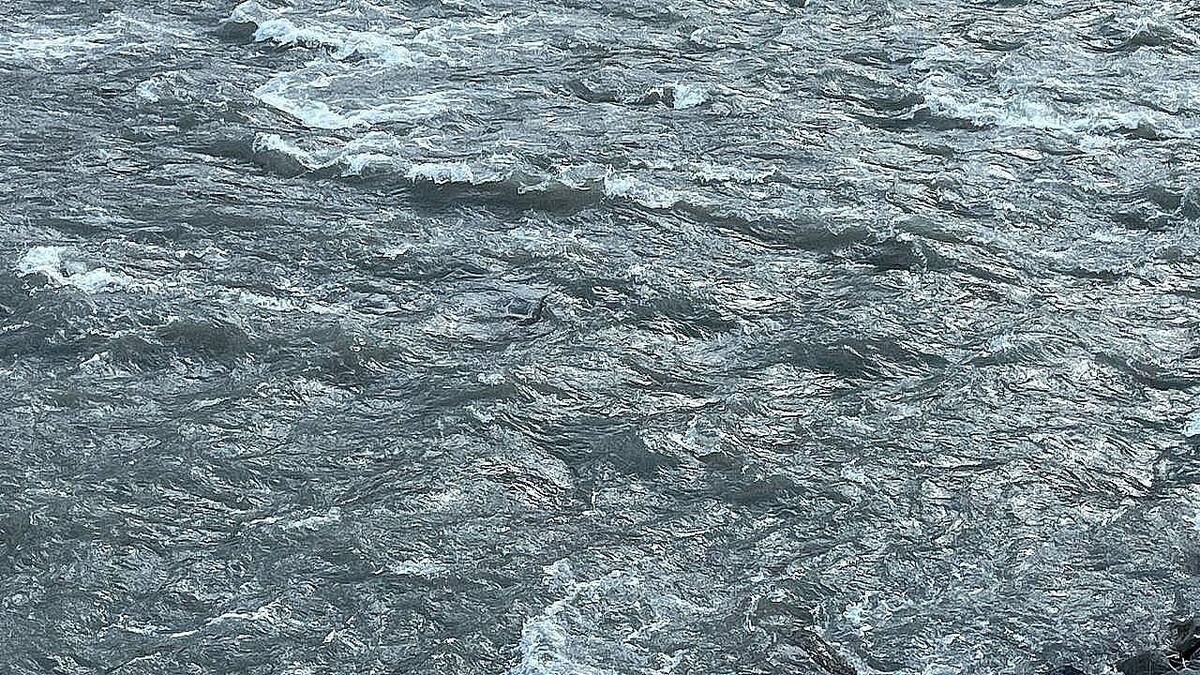    Фото: телеканал «Краснодар»