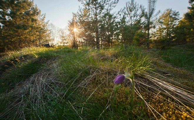    © Комитет по природным ресурсам Ленинградской области