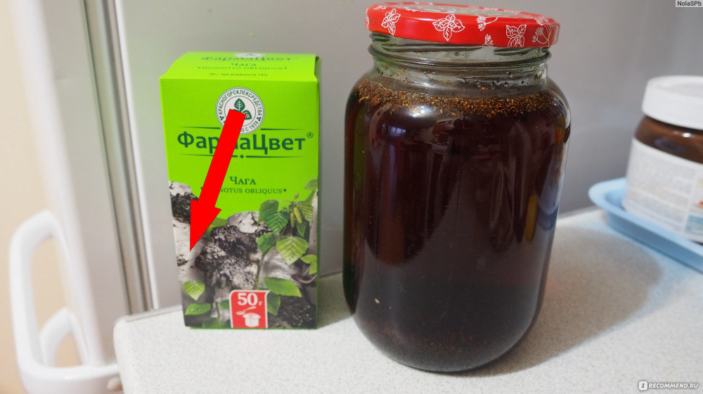    Этот грибной чай продлевает жизнь сибирякам на 20 лет