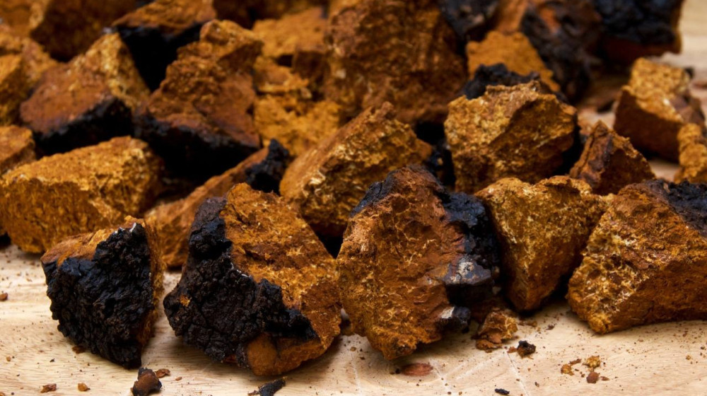    Этот грибной чай продлевает жизнь сибирякам на 20 лет