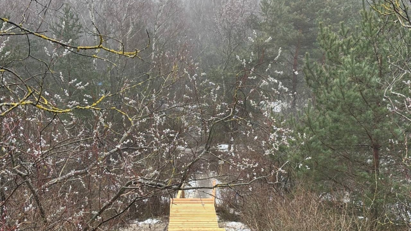    Куршская коса