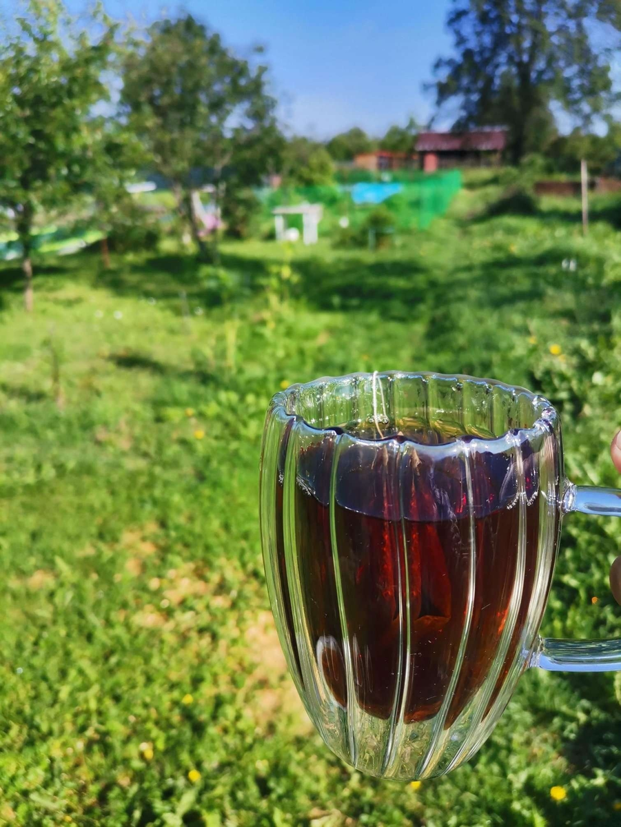 Оставили напиток в кружке – лишаетесь защиты и навлекаете все нехорошее.