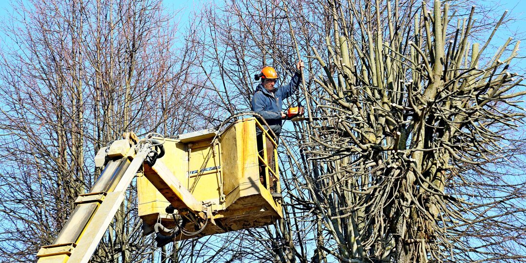 ⚡️⚡️Работы по благоустройству проводятся в Шклове