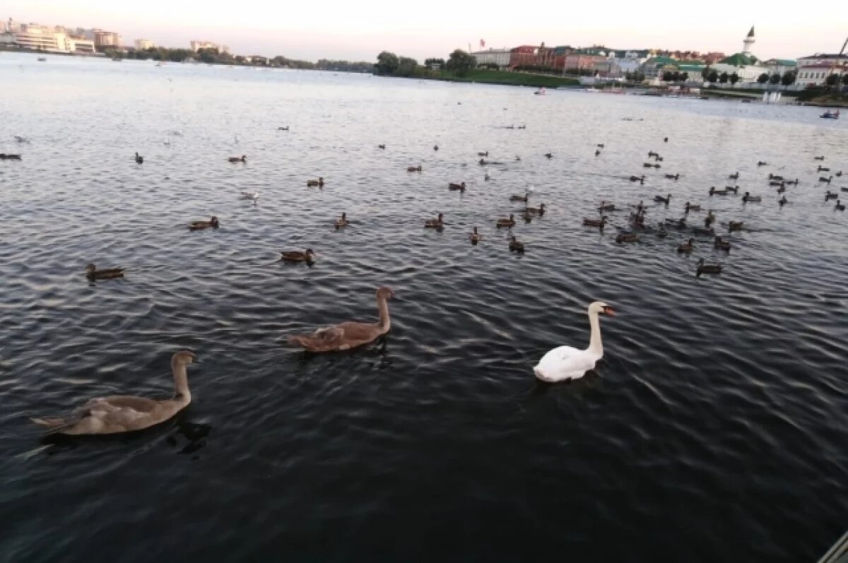    У озера Средний Кабан появится современный туристический кластер