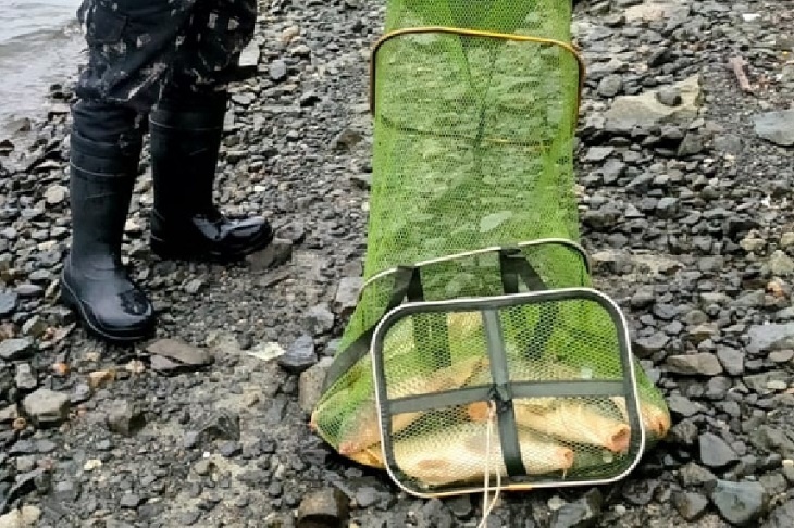 Фото: Цимлянского отдела рыбоохраны