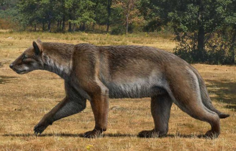 Изображение их открытого доступа в Интернете