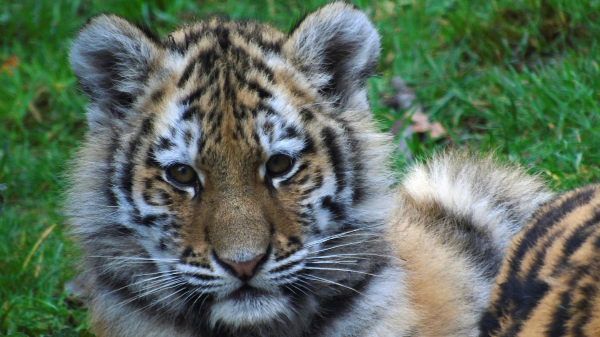    Фото подобрано под тему статьи