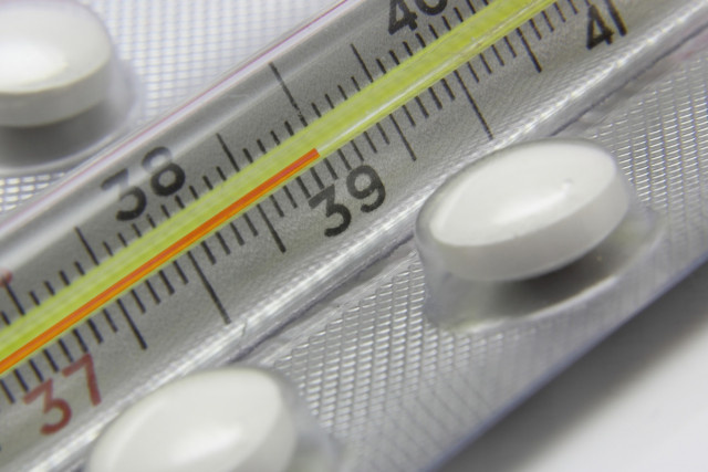    Фото: smolnarod.ru