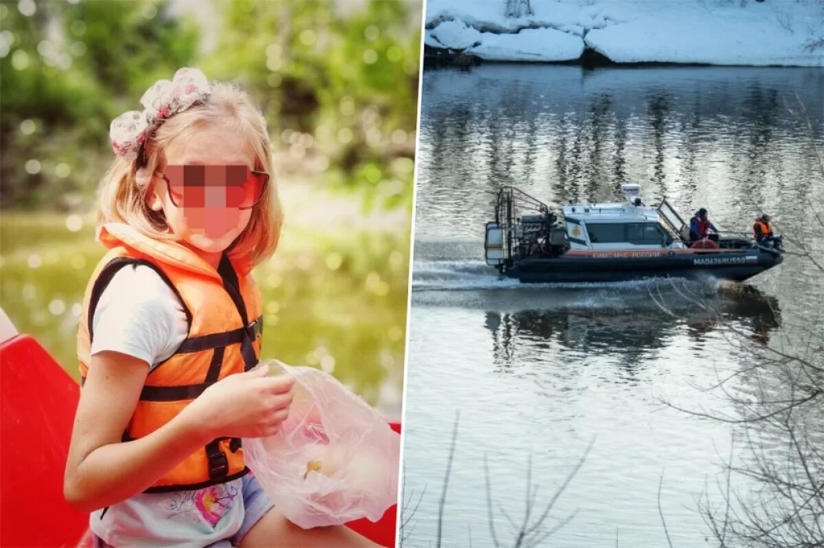    СК раскрыл детали о найденном в Звенигороде теле пропавшей Алины