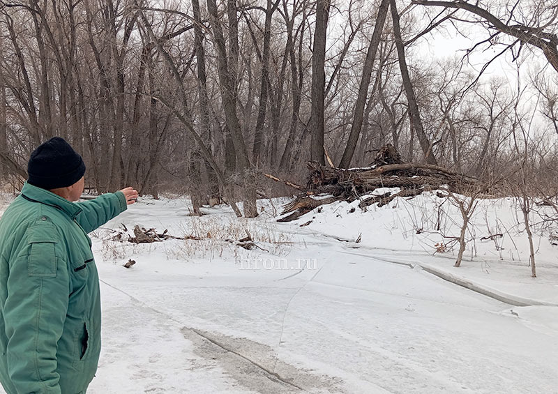 Фото Валентины Николаевой