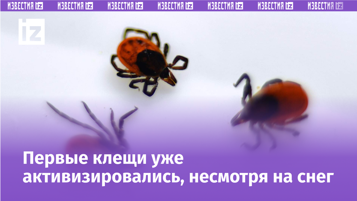 Фото: РИА Новости/Павел Лисицын