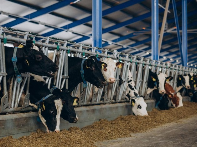 Иллюстрация: https://ru.freepik.com/author/senivpetro