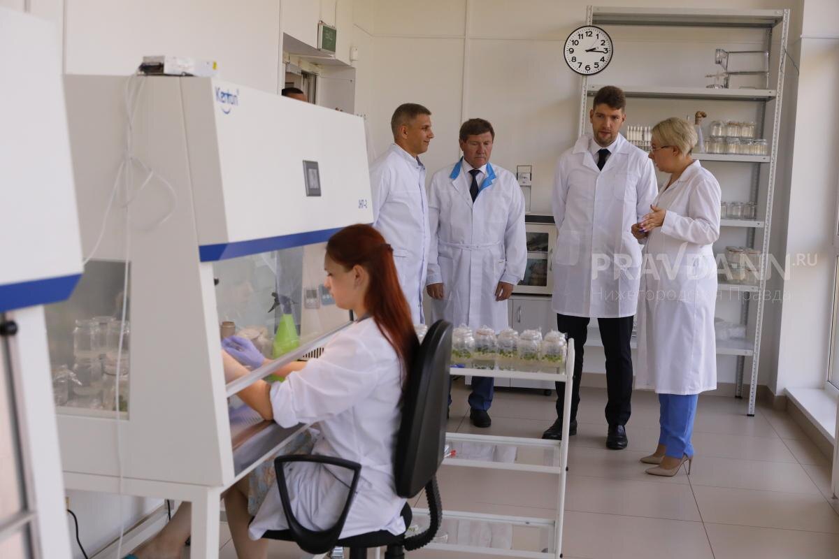    Научные центры региона работают успешно и позволяют региону развиваться