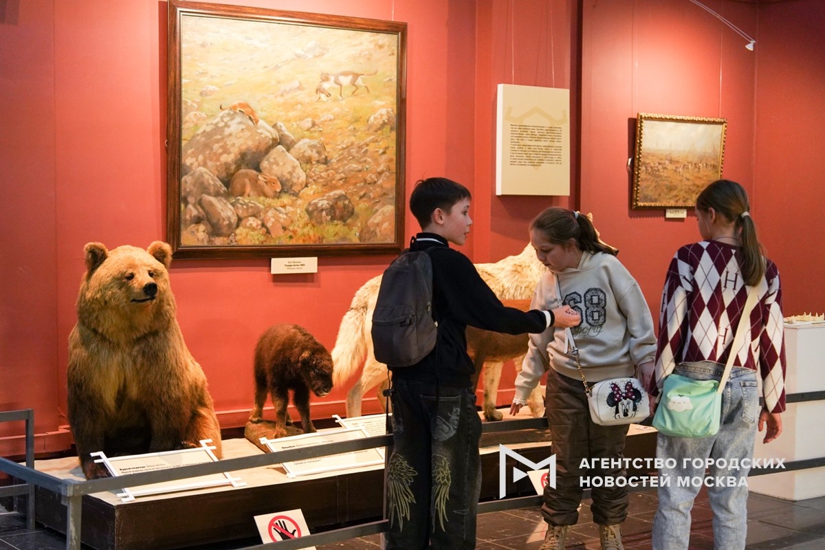 Фотограф: Александр Авилов