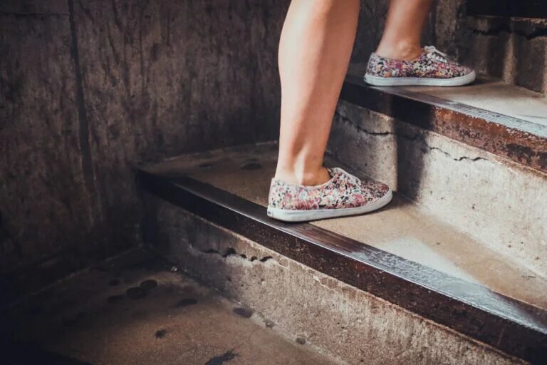 фото: pixabay.com/StockSnap