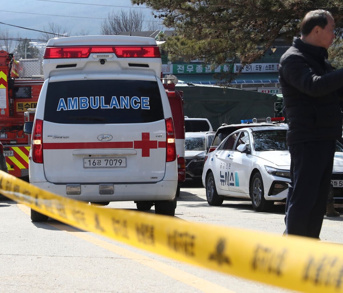     / Источник: © Global Look Press