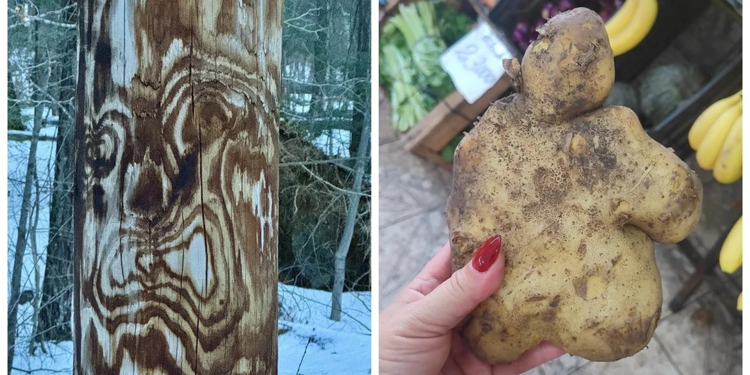 30 фото, запечатлевших маленькие чудеса обыденности и повседневности