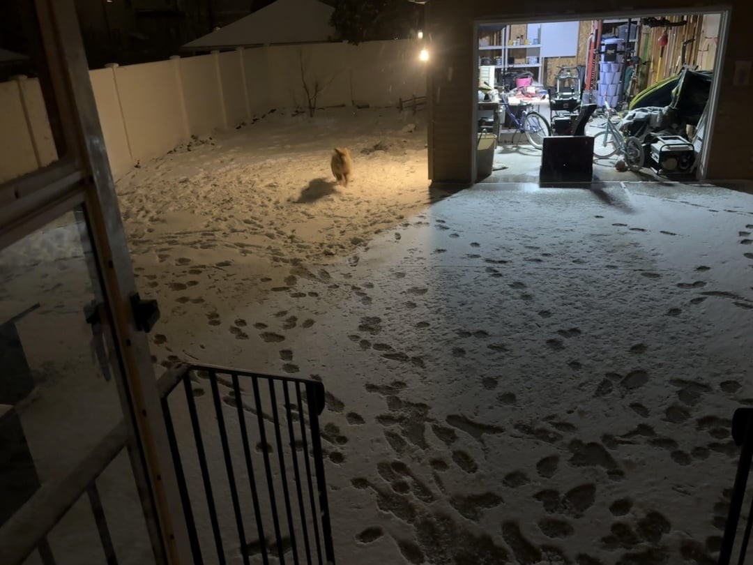 Источник: redd.it