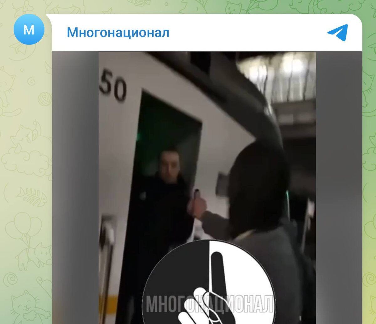 Фото: Telegram-канал «Многонационал»