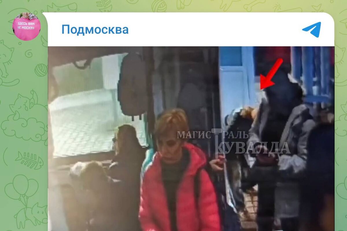 Фото: тг-канал "Подмосква".