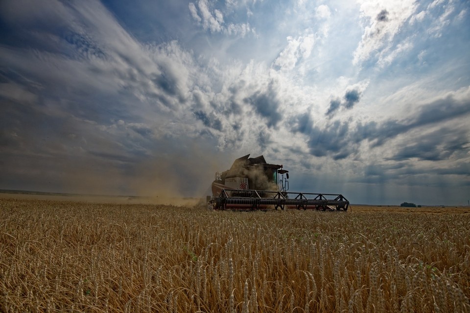    Свыше 56 тысяч га земель ввели в сельхозоборот Ульяновской области Архив "КП"