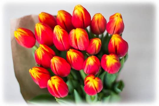    Женский праздник расстроил продавцов цветов (фото: pxhere.com)