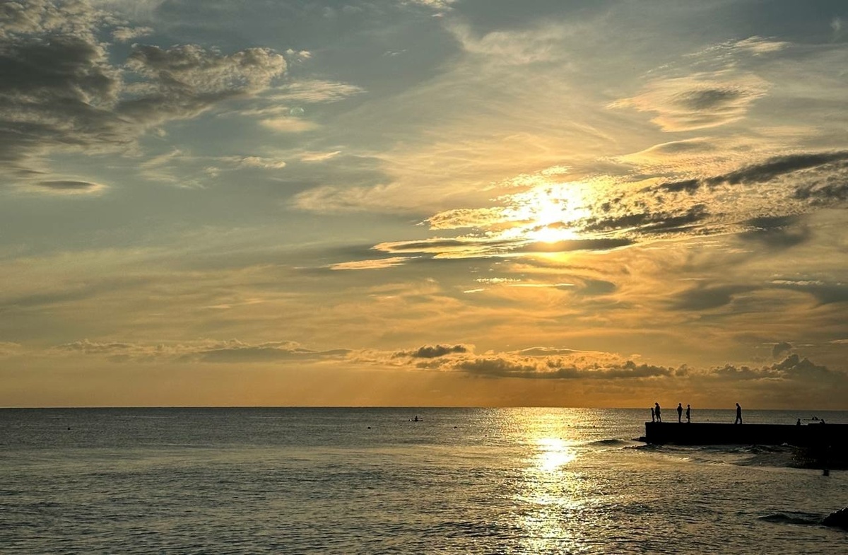    Фото: "Бриф24"