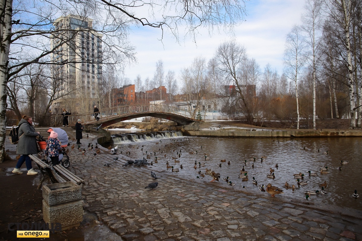    Есть ли в Петрозаводске угроза подтоплений: корреспондент «Столицы на Онего» прогулялся вдоль городских рек© Людмила Корвякова