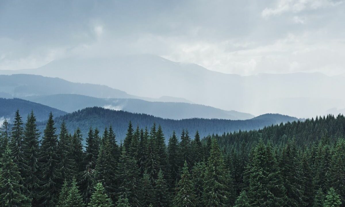    Фото freepik.com