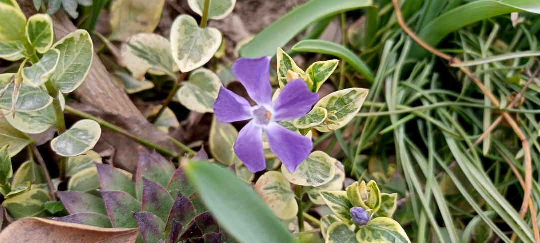 С Пятерочкой переругалась