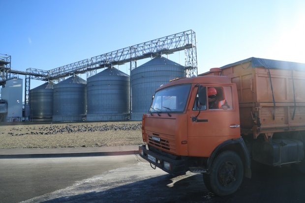 В 2025 году волгоградские аграрии получили на развитие АПК около 20 млрд рублей