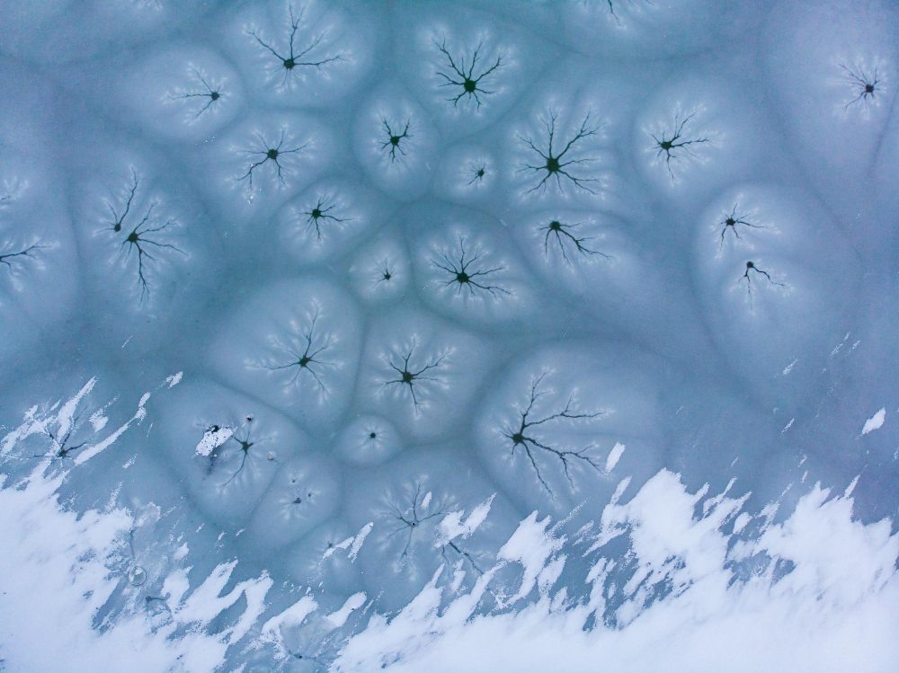    изображение от freepik