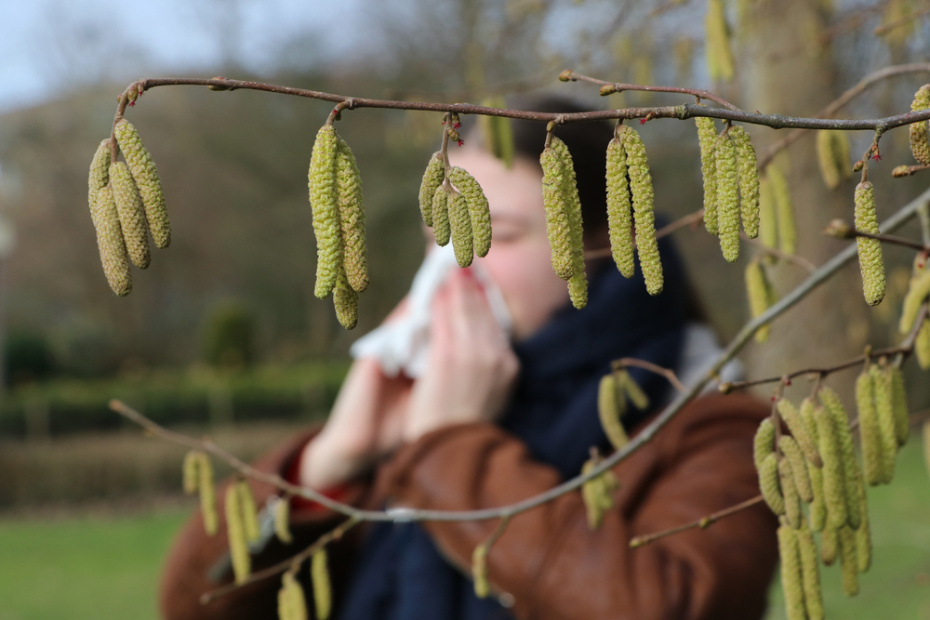    Shutterstock/FOTODOM