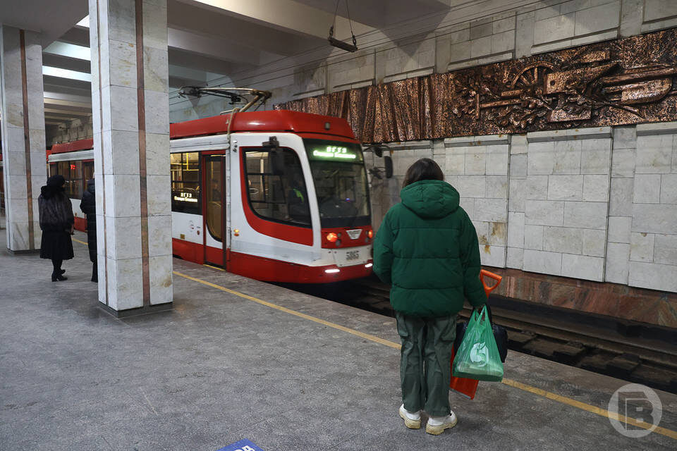    фото: Дмитрий Рогулин / "Городские вести"