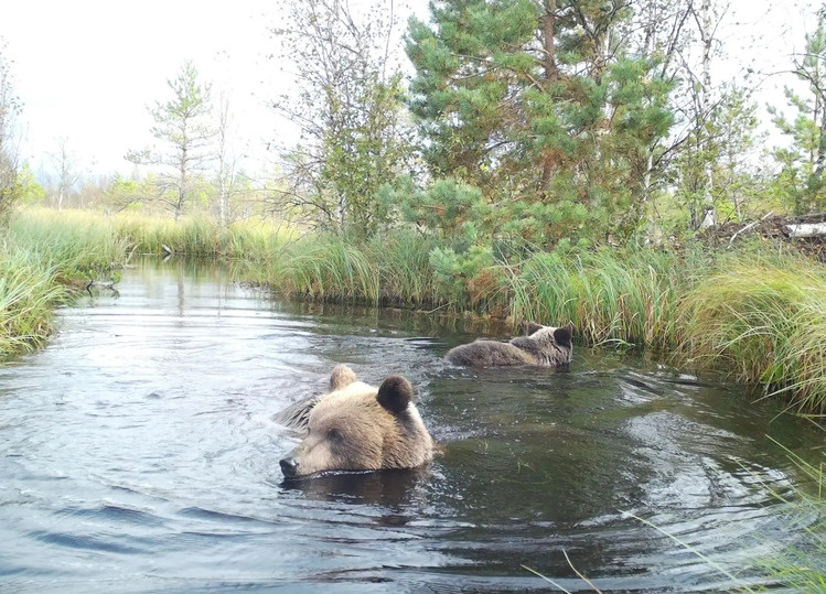     Фото: пресс-служба Рдейского заповедника