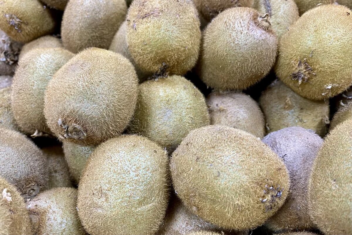 Фото: UfacityNews.ru