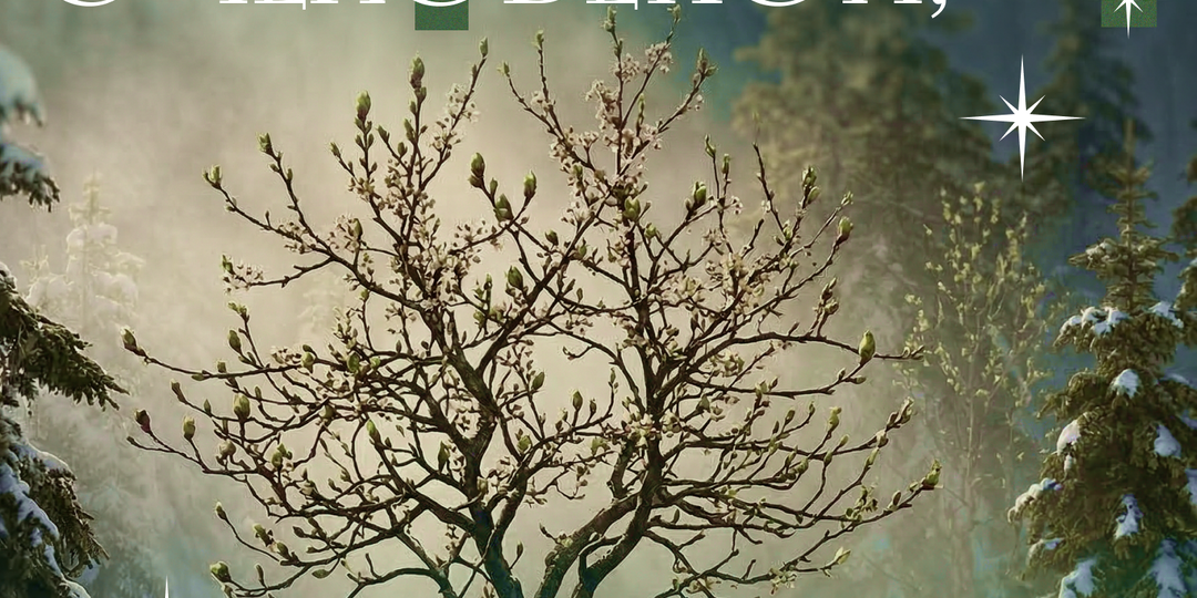 Как понять, что ваш близкий находится под влиянием мошенников?