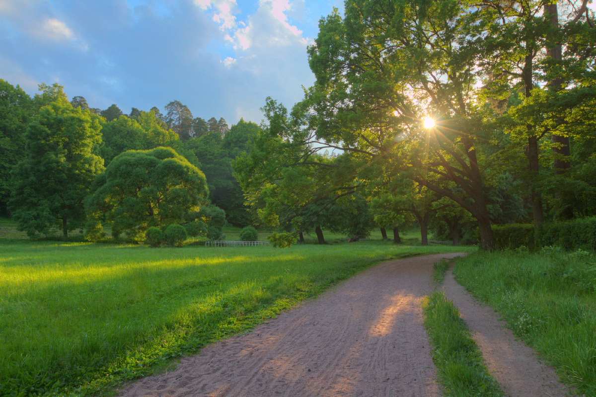 Елисейские поля в парке Монрепо_фото Андрея Салманова