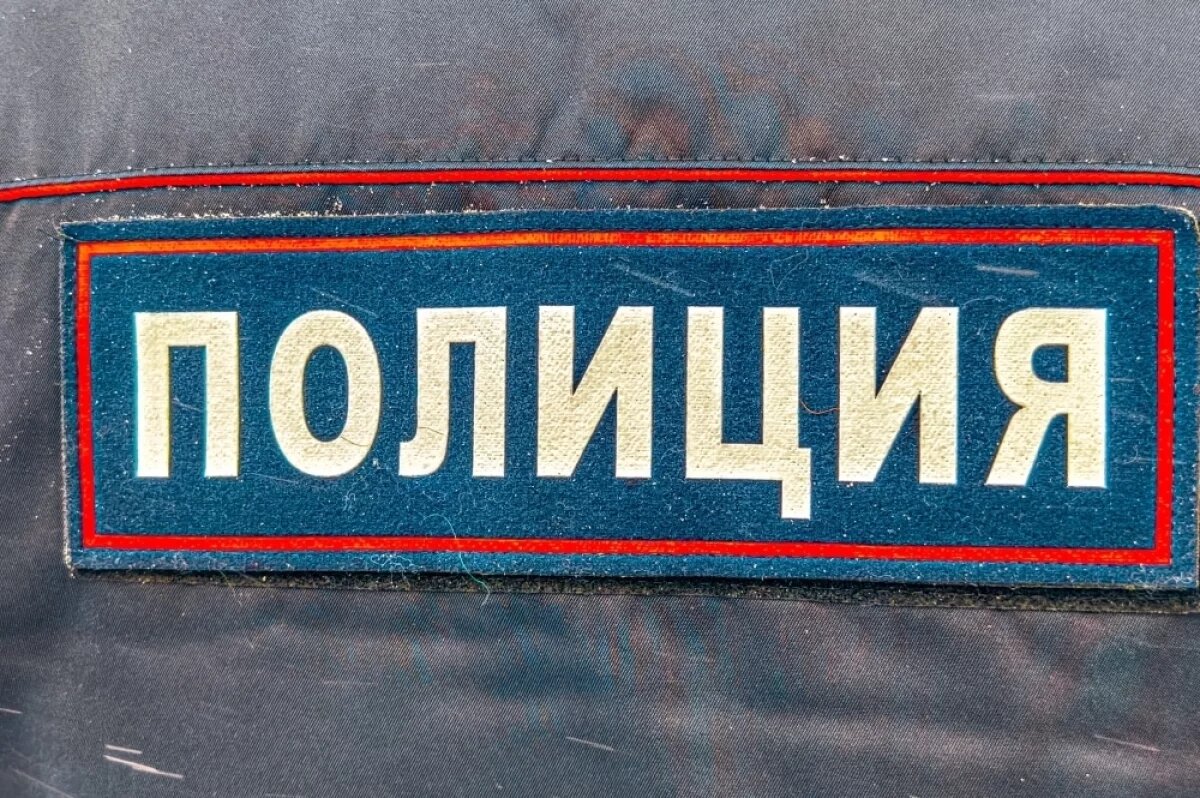    44 тысячи рублей перевел мошенникам с маминой карты девятилетний пскович