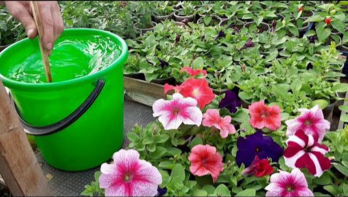 Ссылка на изображение: https://i.pinimg.com/736x/9e/59/6c/9e596ce3f0a1ffa90f65cfca8dd1f9e7.jpg